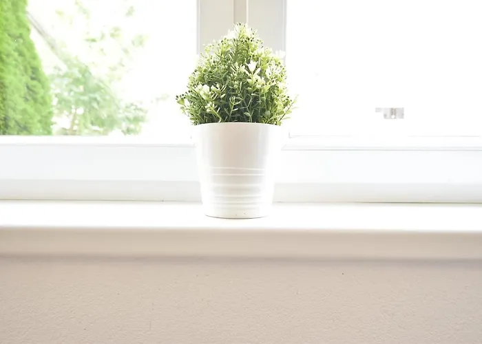 Apartman Big Wilten With Free Parking- And Peaceful