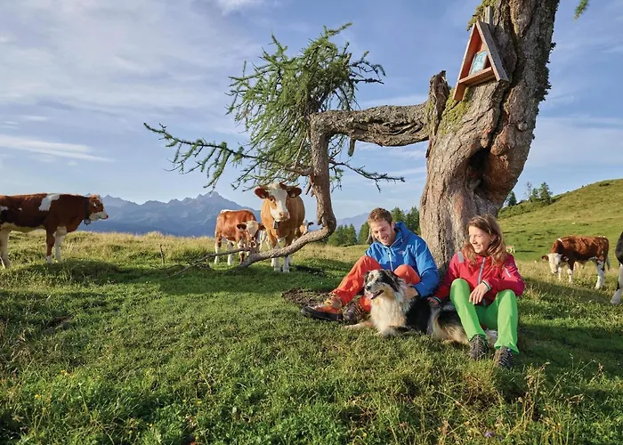 Apartman Big Wilten With Free Parking- And Peaceful